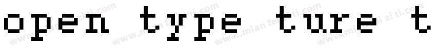 open type ture type字体转换